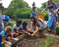 Daisy scouts planting seeds